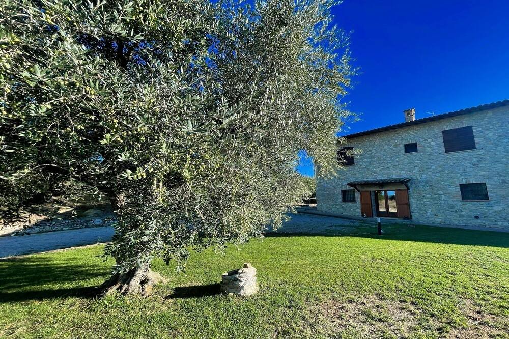 Photo of Outdoor in Todi