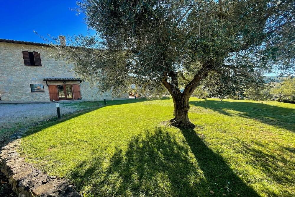 Photo of Outdoor in Todi