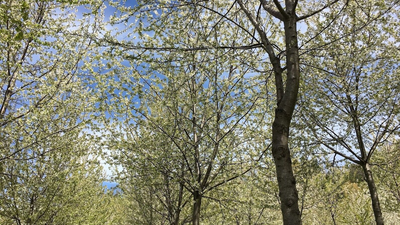 Photo of Outdoor in Force