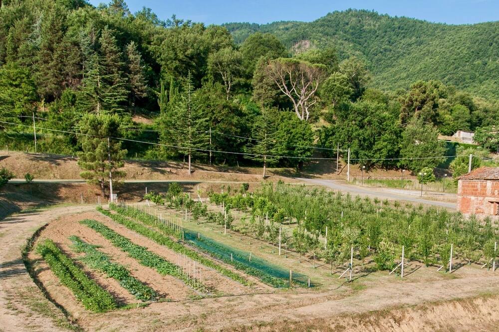 Photo of Outdoor in Lisciano Niccone