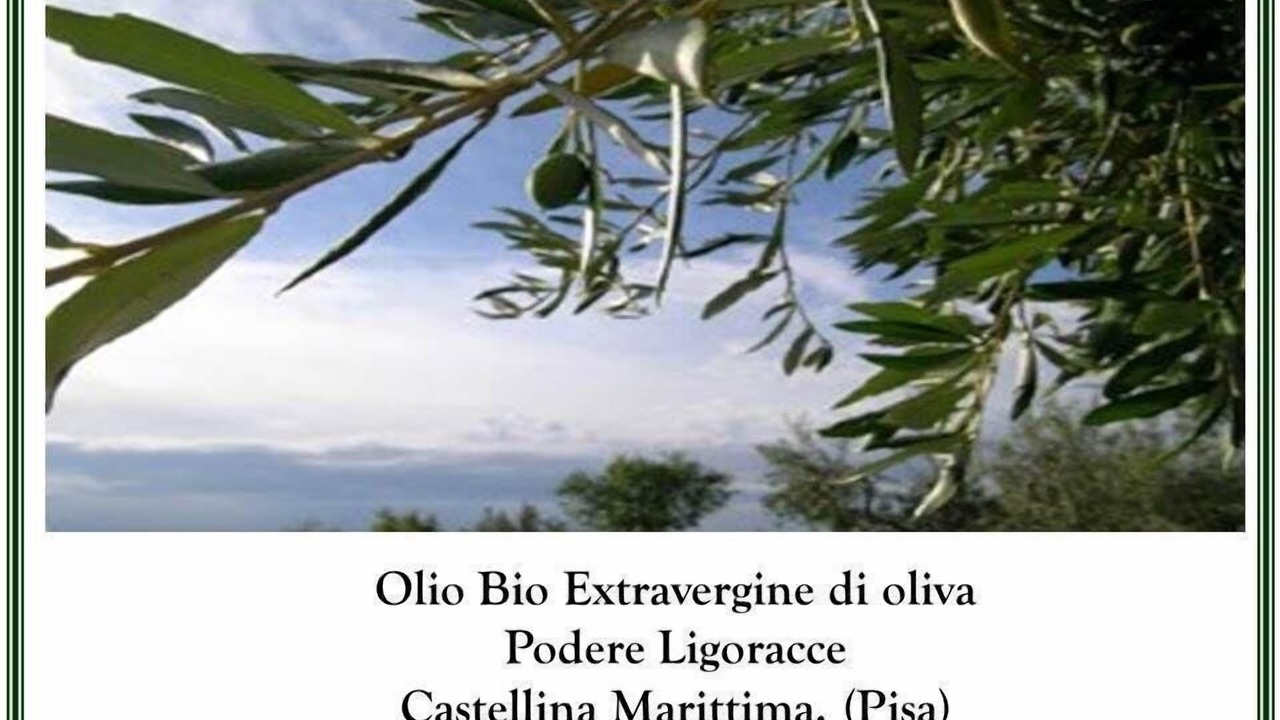 Photo of Others in Castellina Marittima