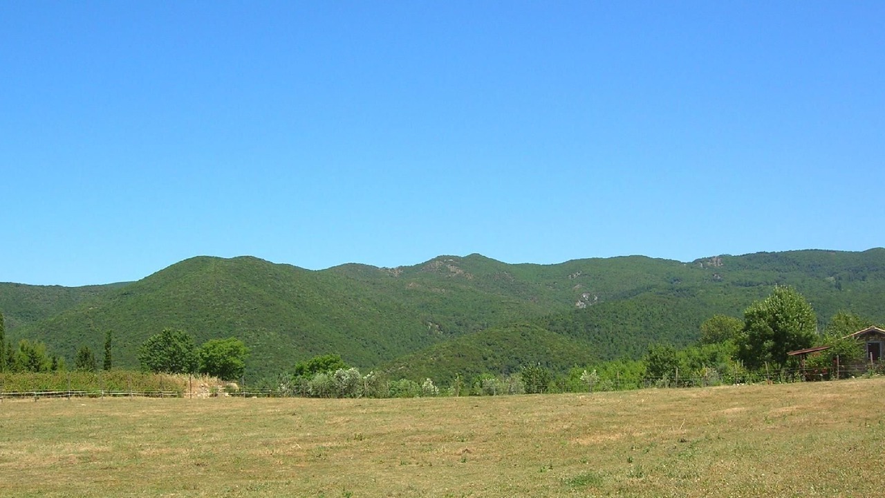 Photo of Others in Castellina Marittima