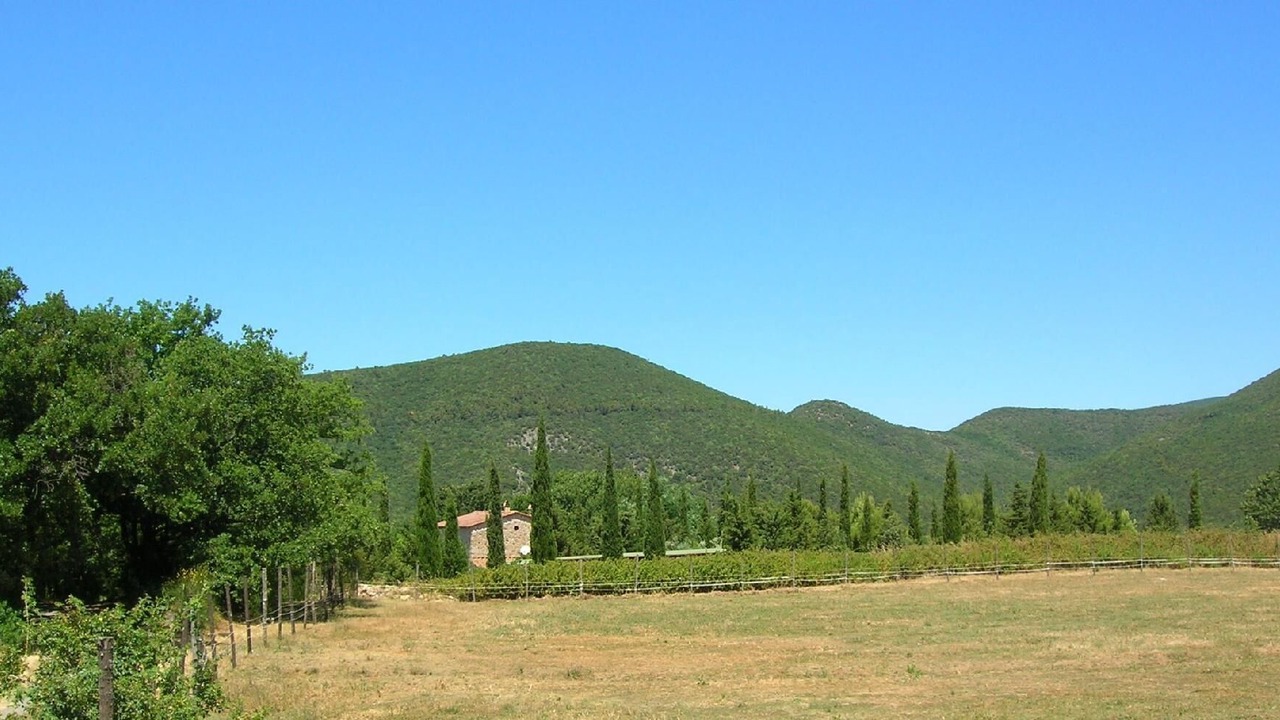 Photo of Others in Castellina Marittima