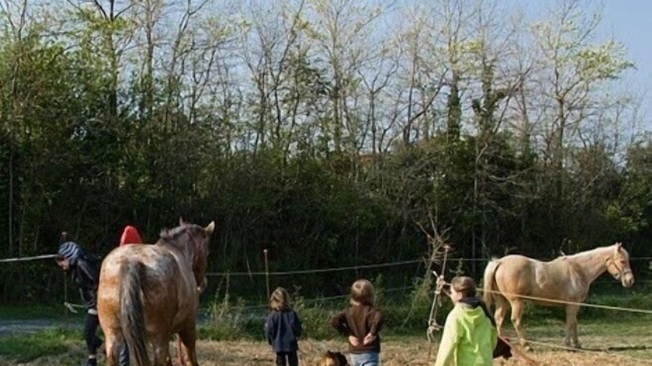 Photo of Others in Castellina Marittima