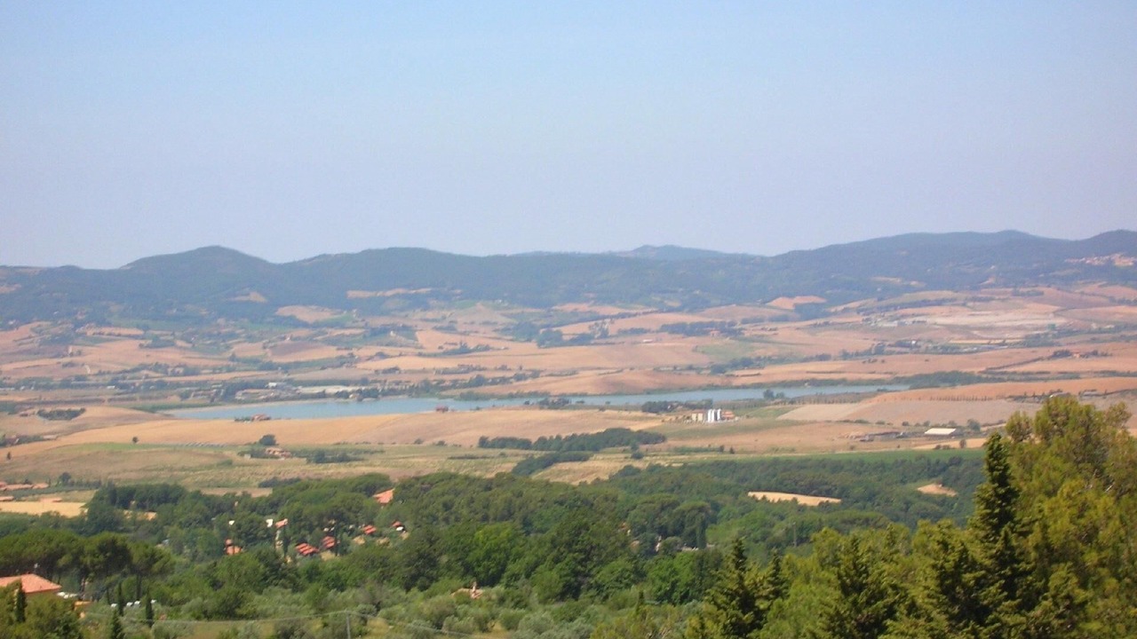 Photo of Others in Castellina Marittima