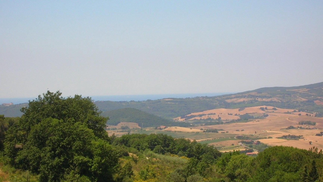 Photo of Others in Castellina Marittima