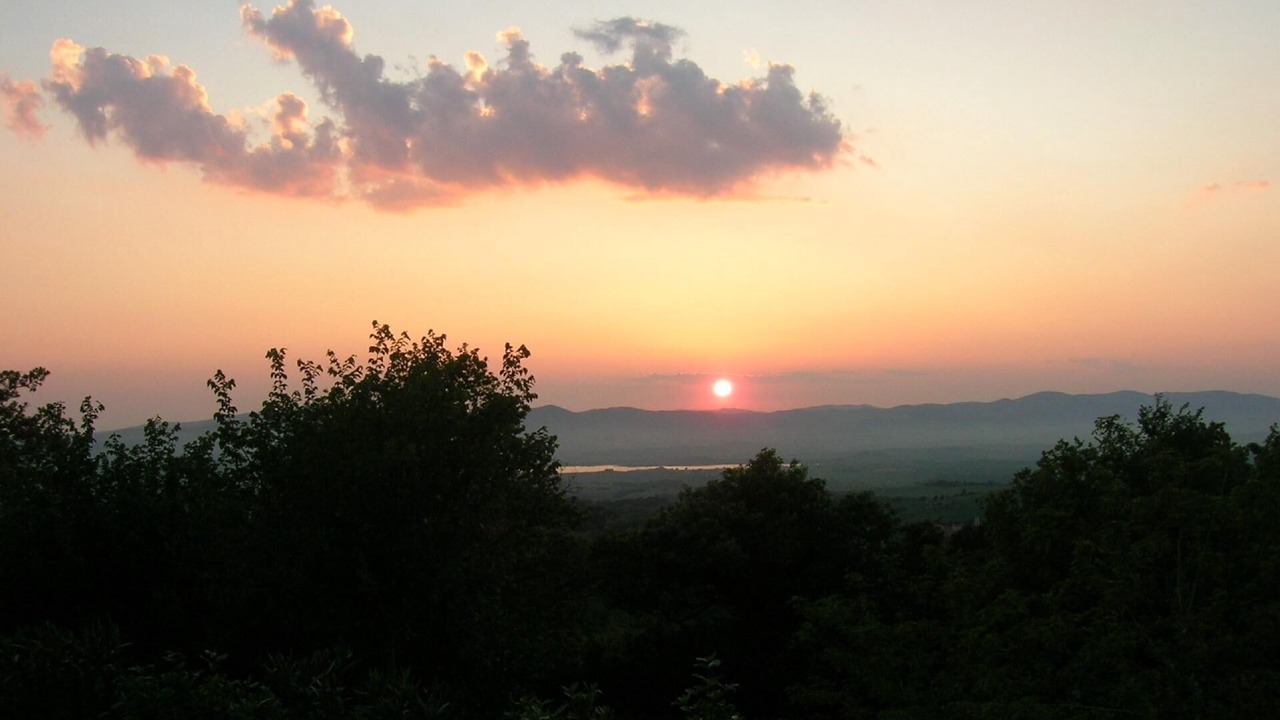 Photo of Others in Castellina Marittima