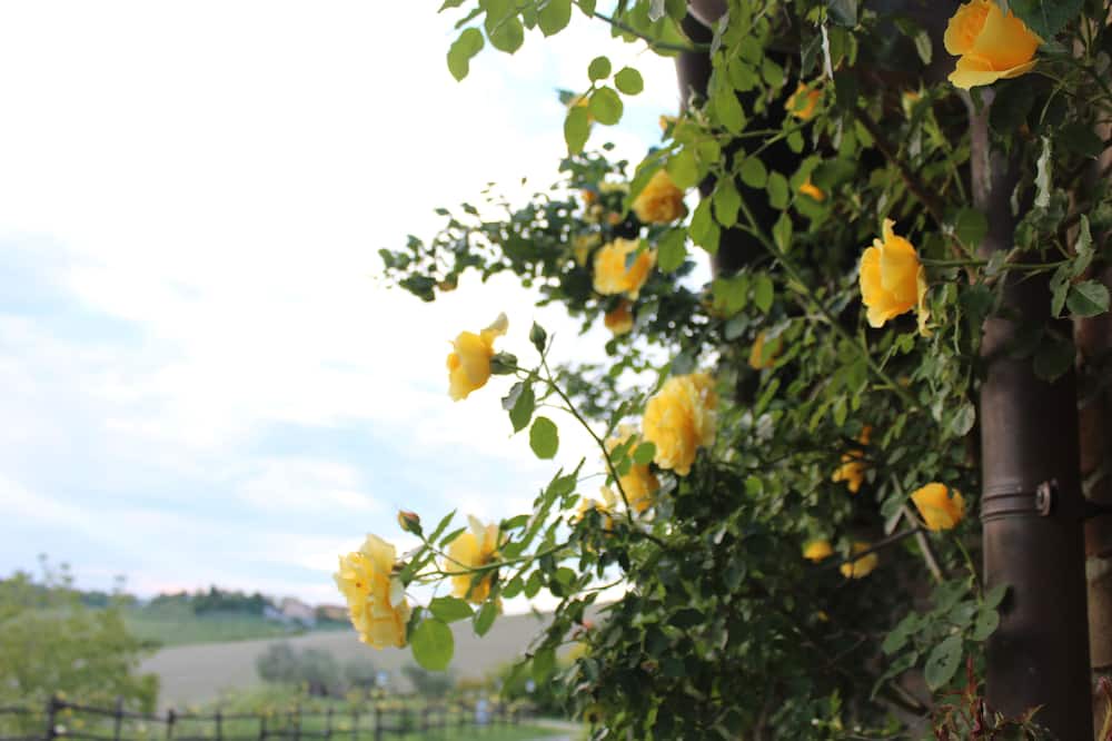 Photo of Outdoor in Sismano