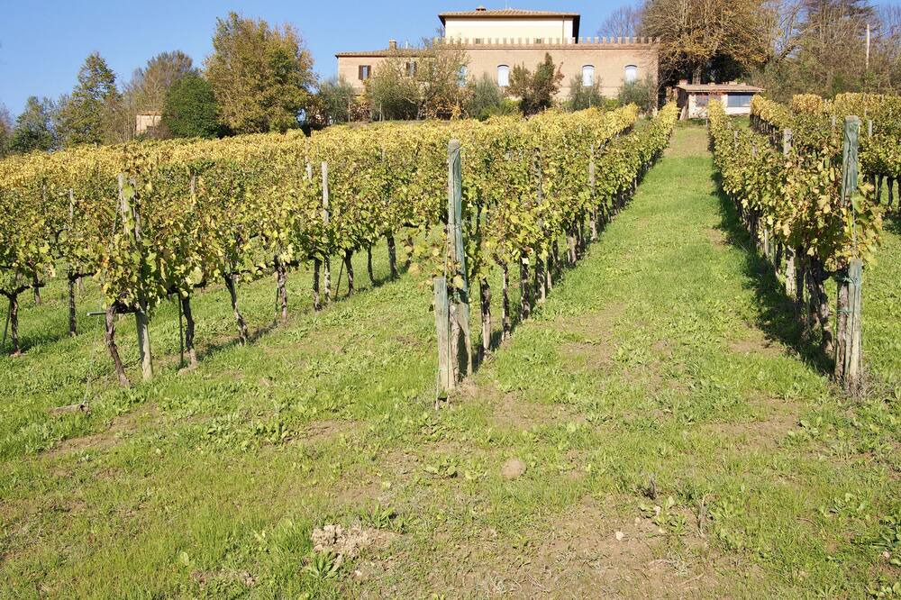 Photo of Outdoor in Montalcino