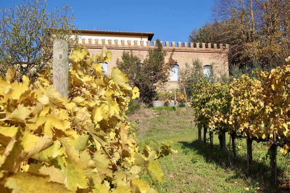 Photo of Outdoor in Montalcino