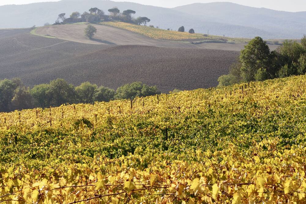 Photo of Outdoor in Montalcino
