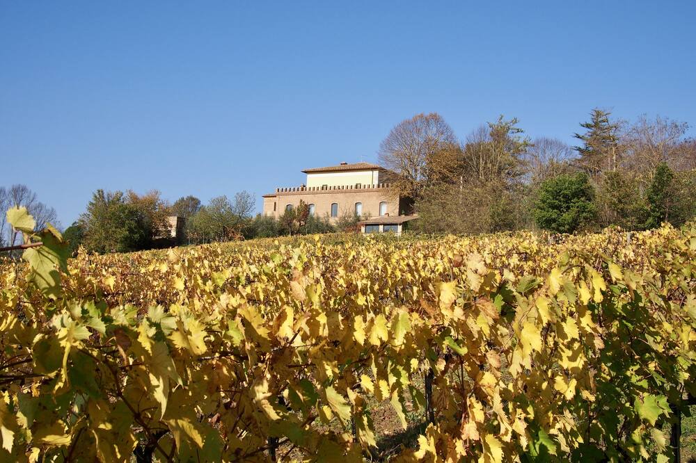 Photo of Outdoor in Montalcino