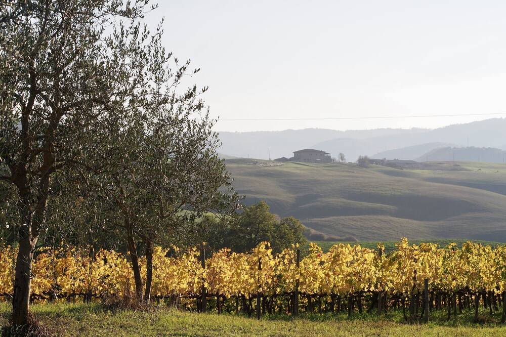 Photo of Outdoor in Montalcino