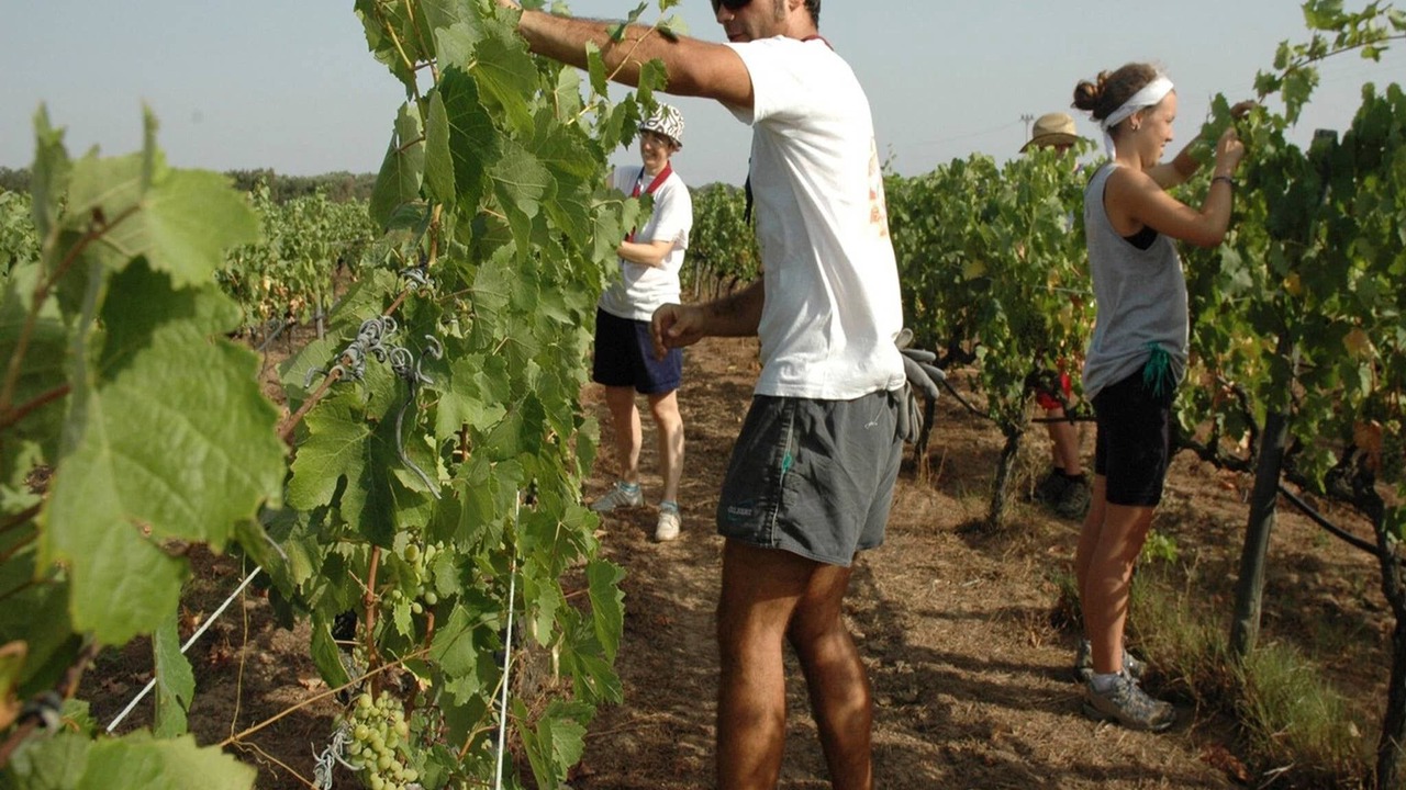 Photo of Outdoor in Cerveteri