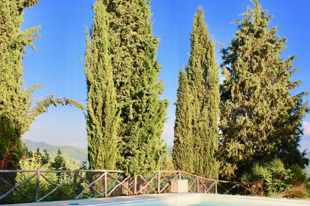 Photo of Outdoor in Castel Focognano