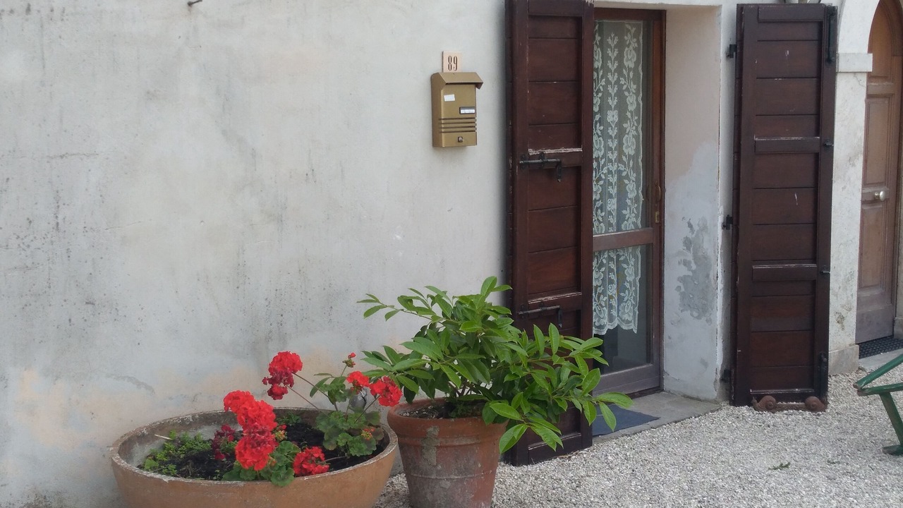 Photo of Outdoor in San Presto