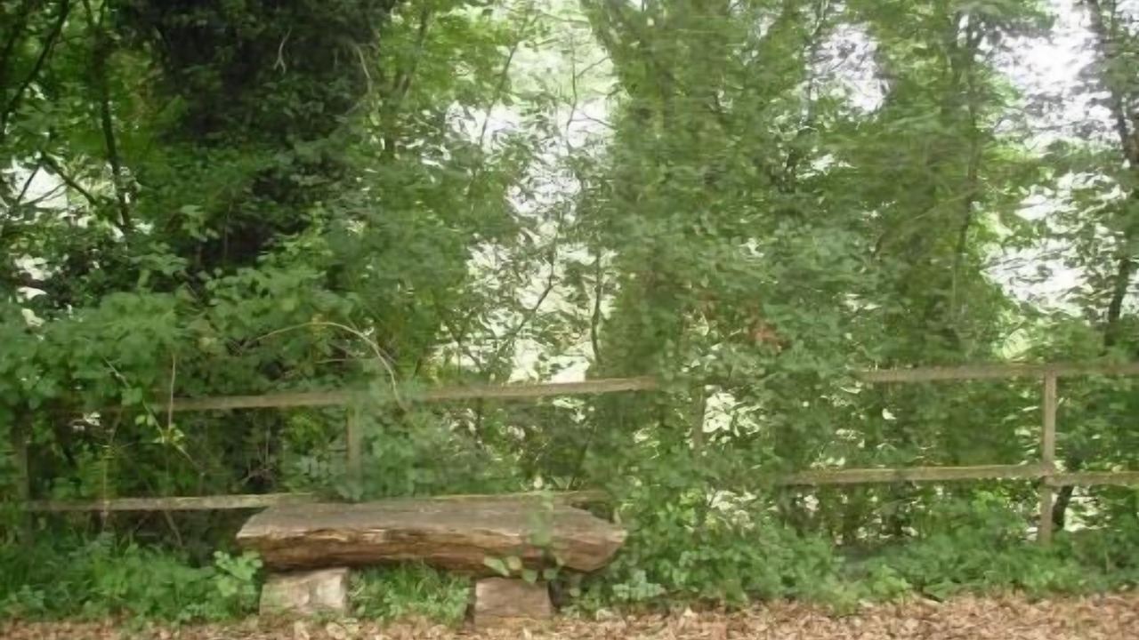 Photo of Outdoor in Bevagna