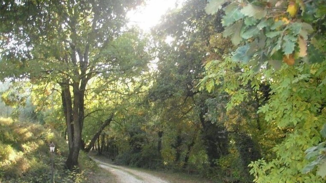 Photo of Outdoor in Bevagna