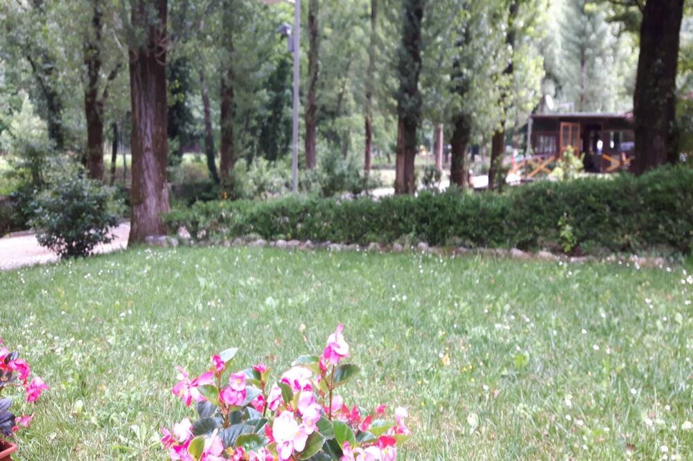 Photo of Outdoor in Scheggino