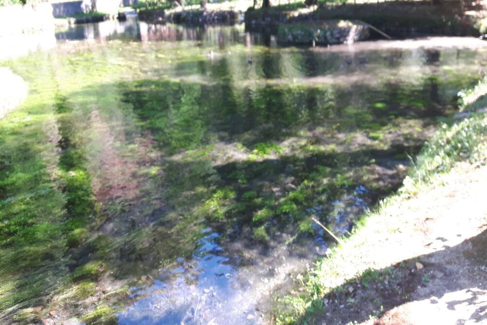 Photo of Outdoor in Scheggino