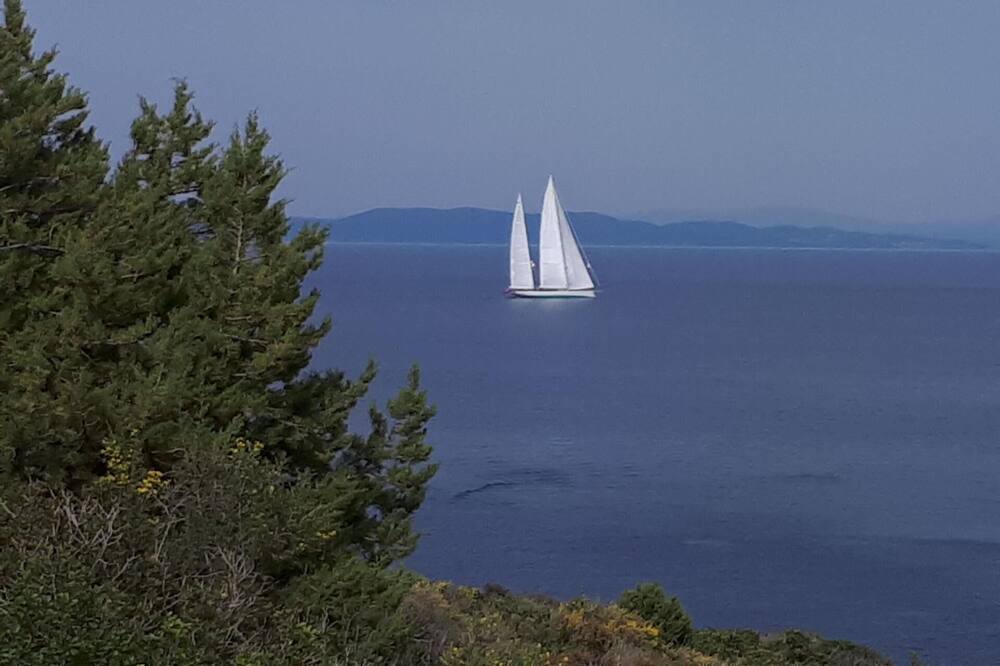 Photo of Others in Mola