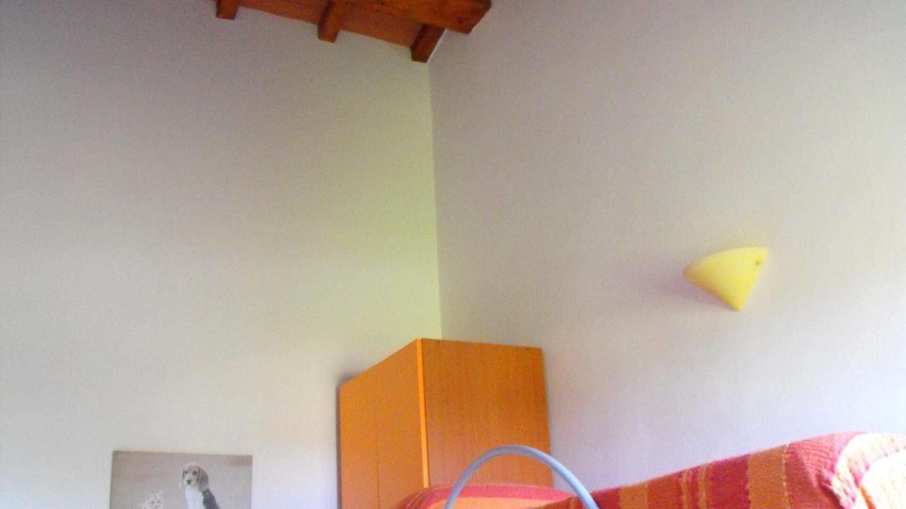 Photo of Others in Contignano