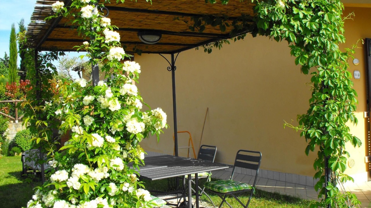 Photo of Outdoor in Contignano