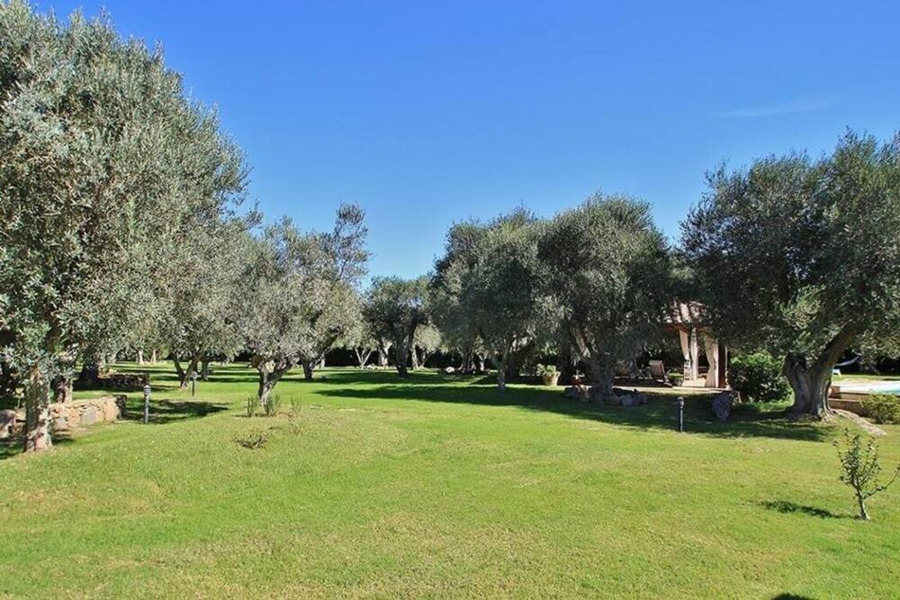 Photo of Outdoor in Capalbio