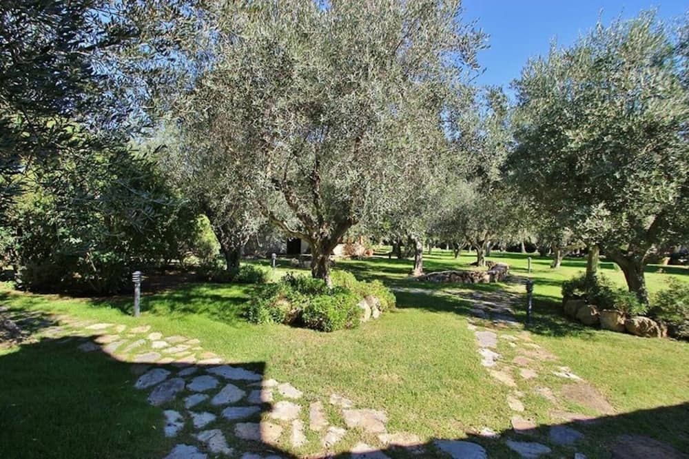 Photo of Outdoor in Capalbio