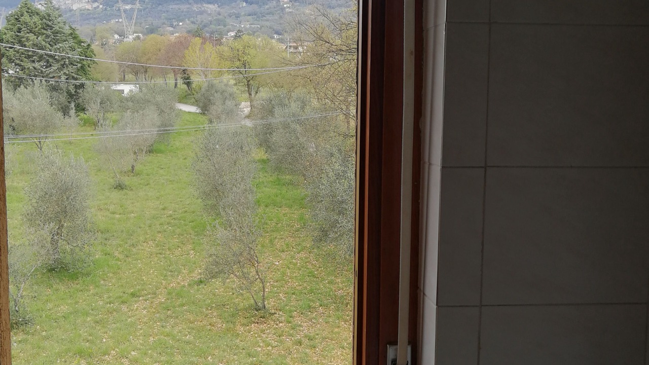Photo of Others in Terni