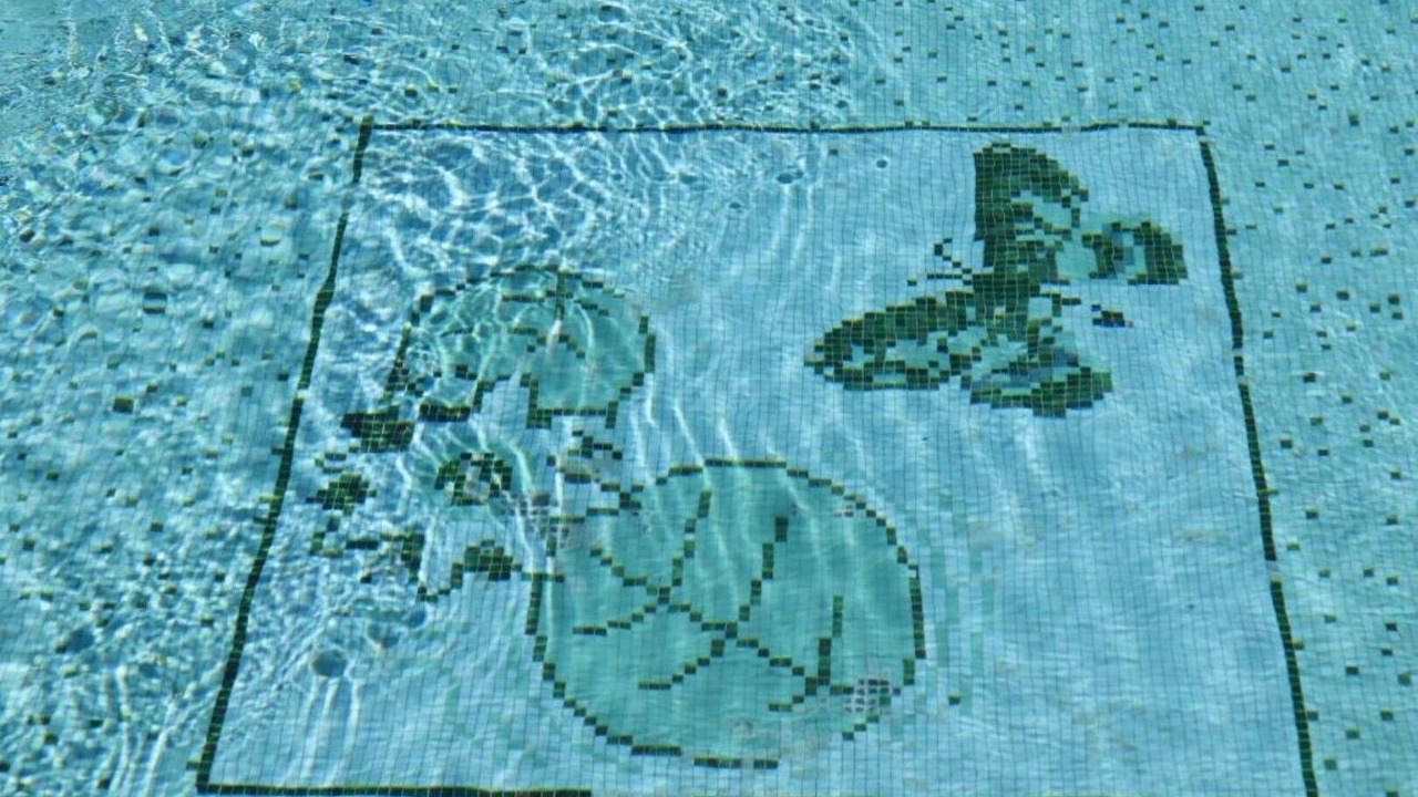 Photo of Others in Guardea