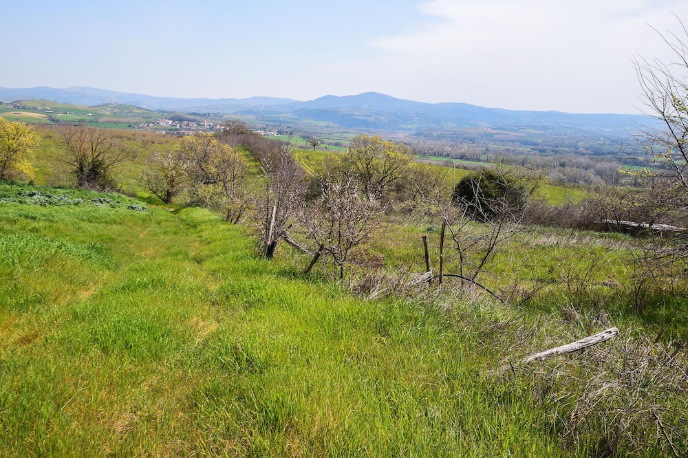 Photo of Others in Campagnatico
