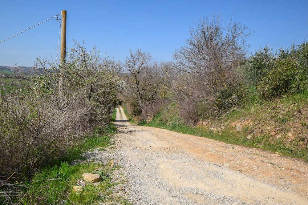 Photo of Others in Campagnatico
