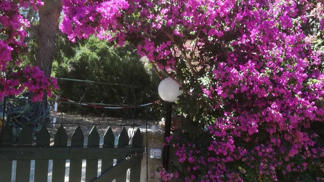 Photo of Outdoor in Patresi