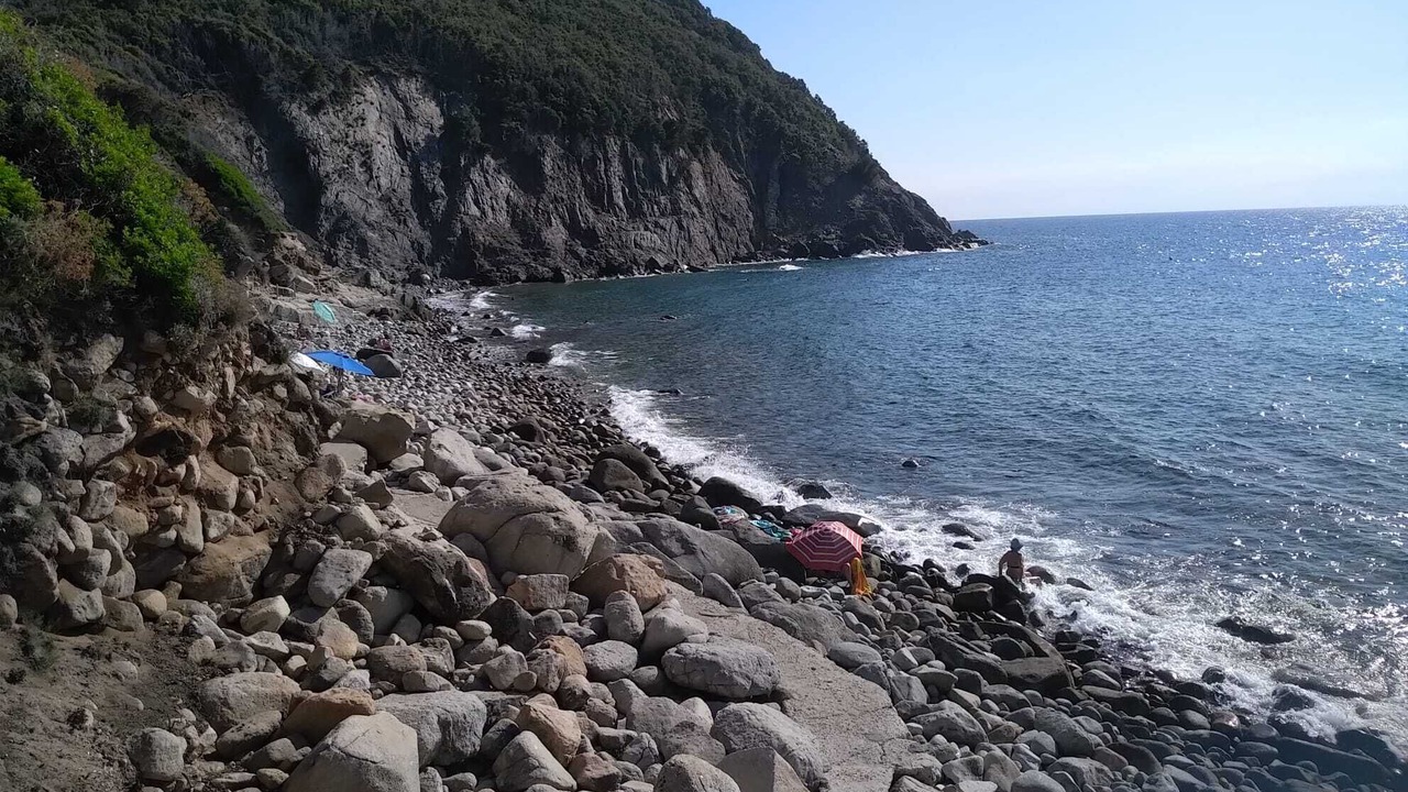 Photo of Others in Patresi