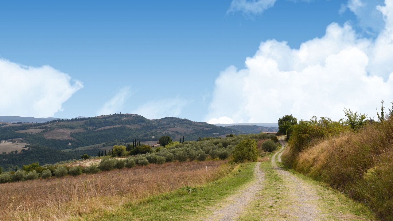 Photo of Others in Il Poggio