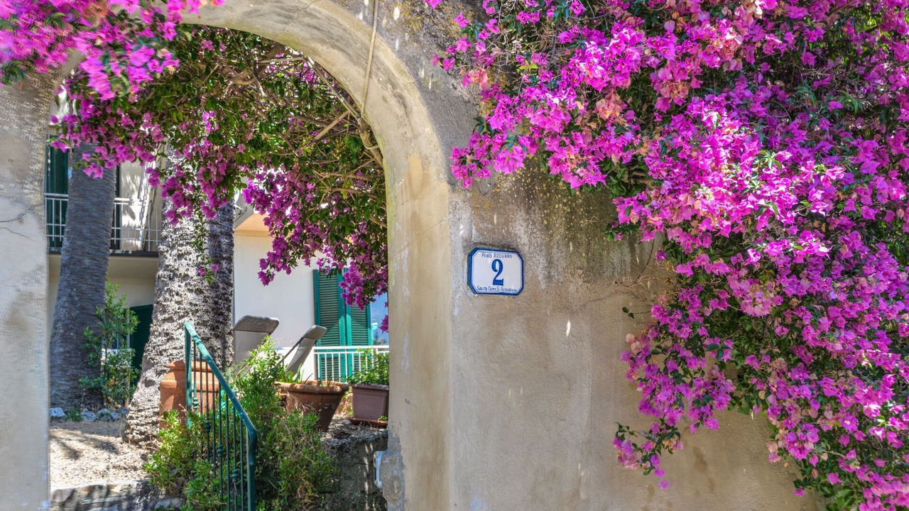 Photo of Outdoor in Porto Azzurro