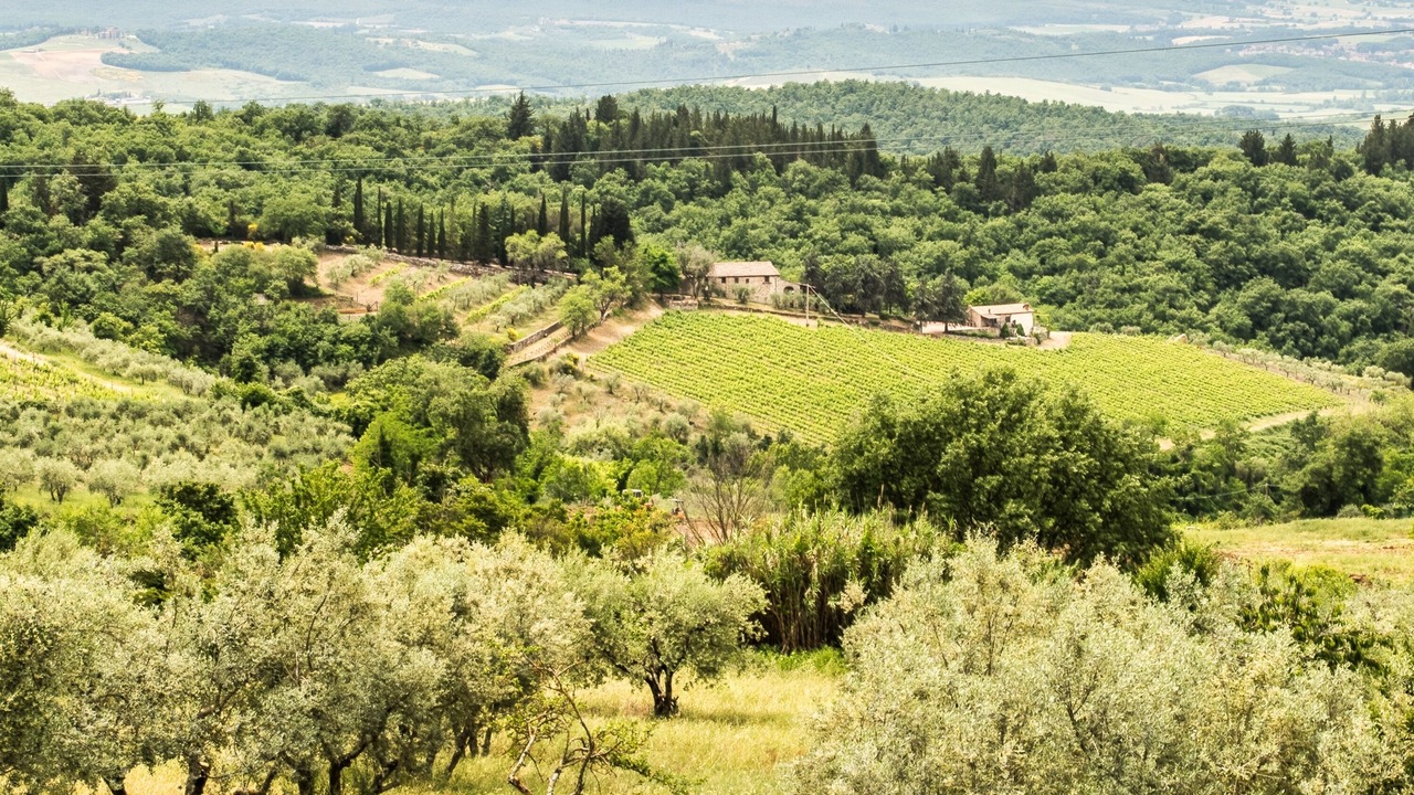 Photo of Outdoor in Castellina in Chianti