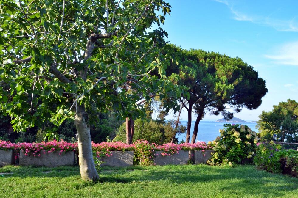 Photo of Outdoor in Bagno-Sprizze