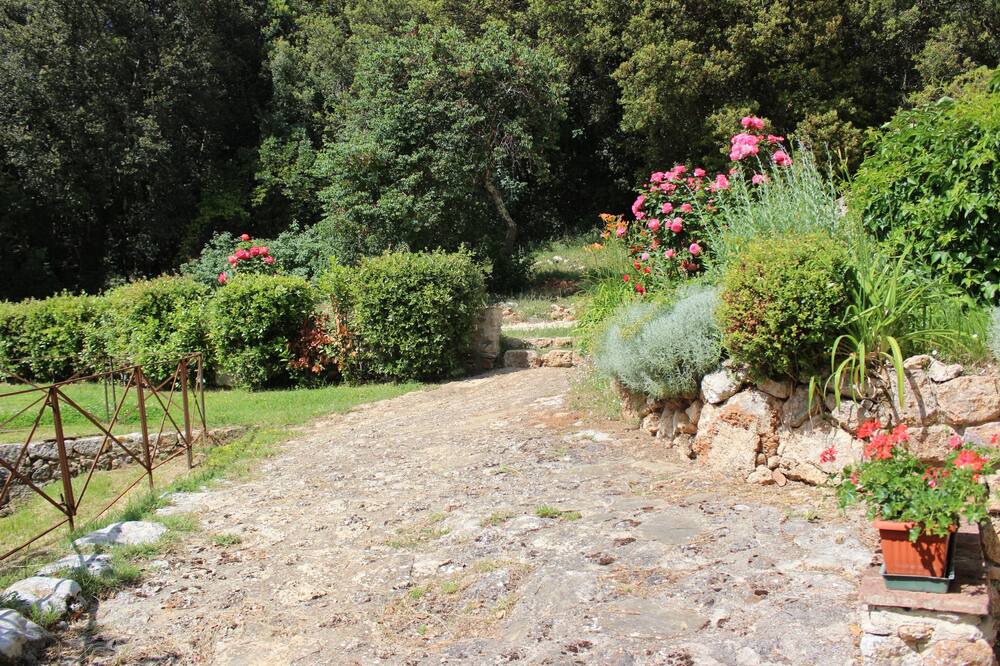 Photo of Outdoor in Simignano