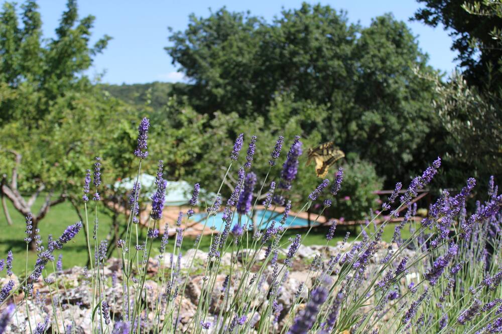 Photo of Outdoor in Simignano