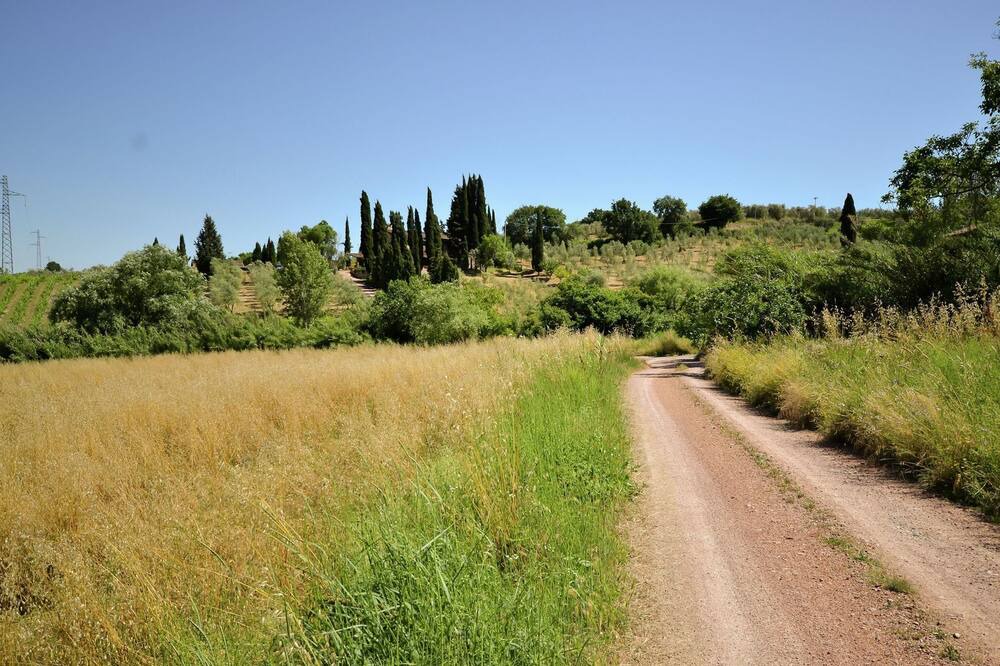 Photo of Others in Montecastelli
