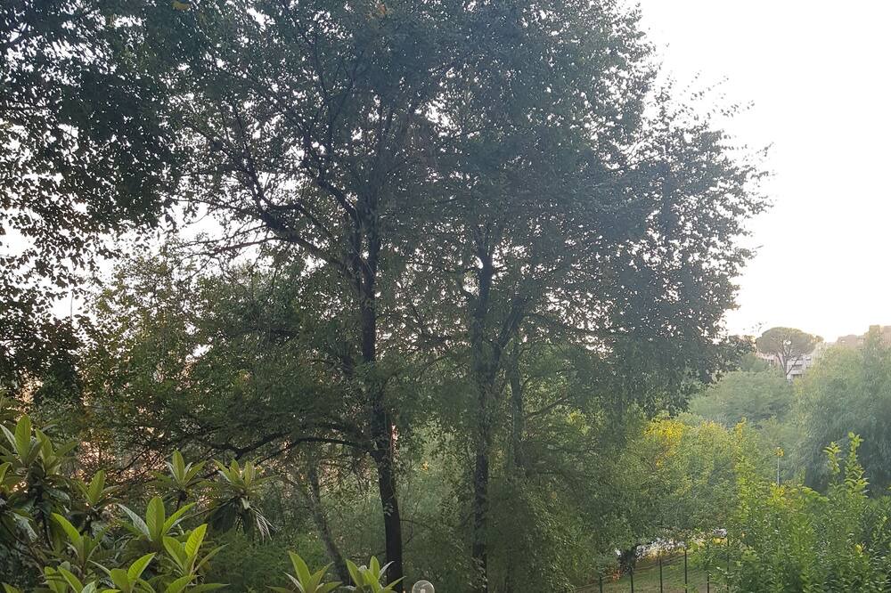 Photo of Outdoor in Rome Province
