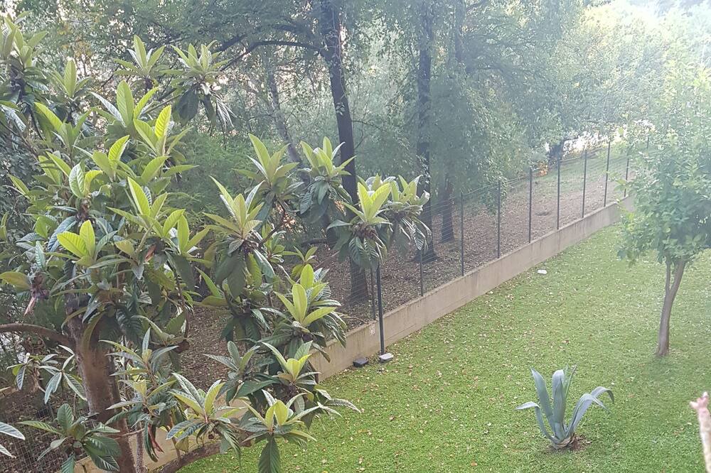 Photo of Outdoor in Rome Province