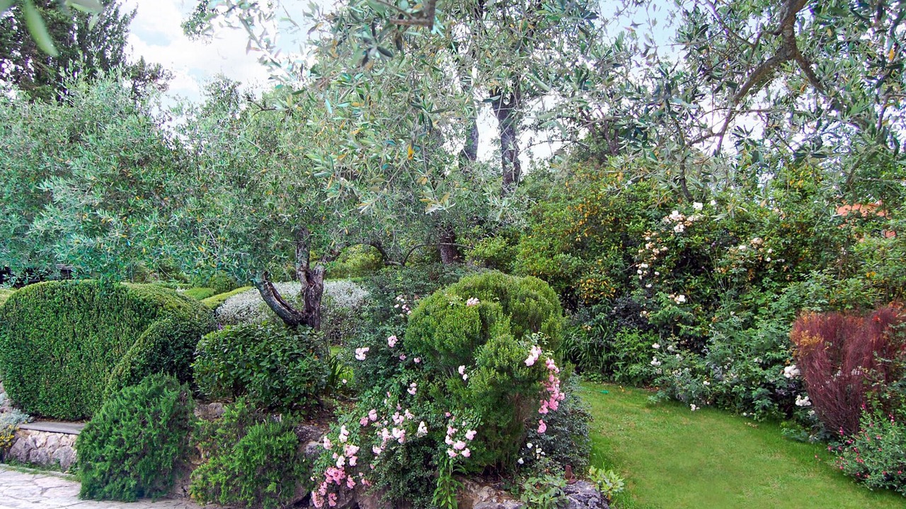 Photo of Outdoor in SantʼOreste
