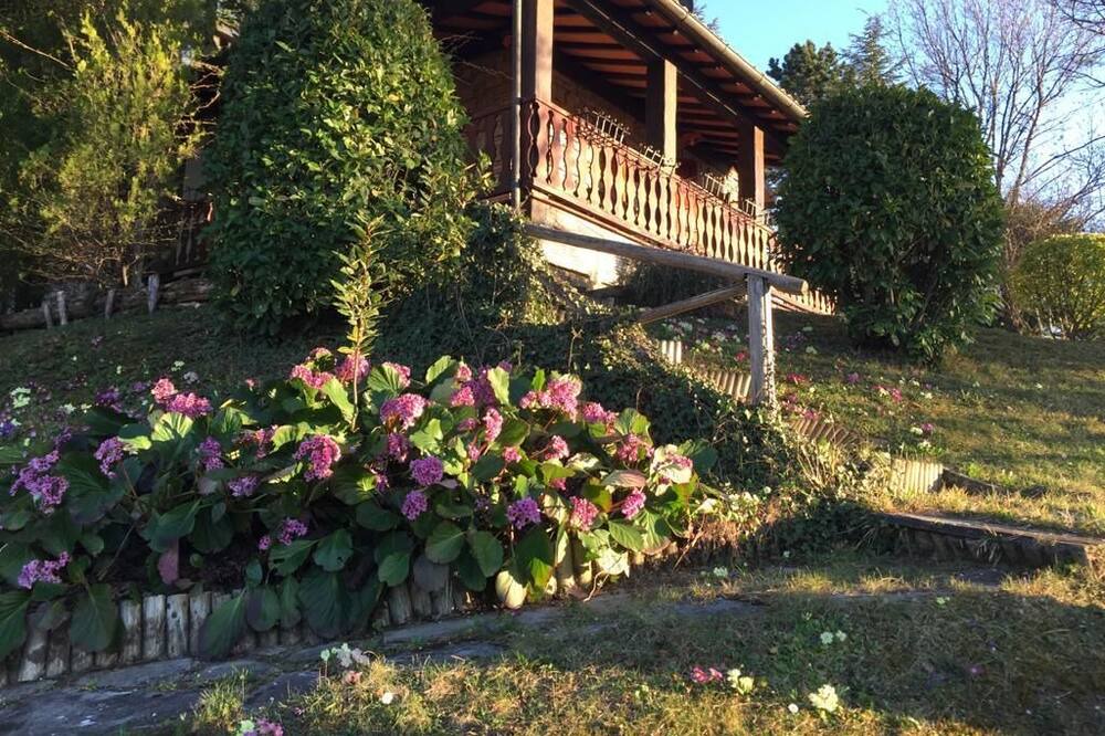 Photo of Outdoor in Pietralunga