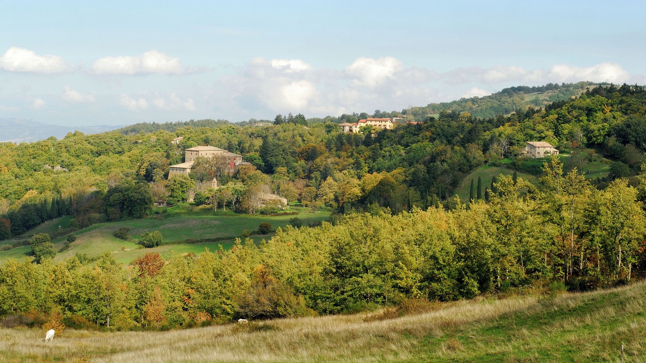 Photo of Livingroom in Vivo dʼOrcia