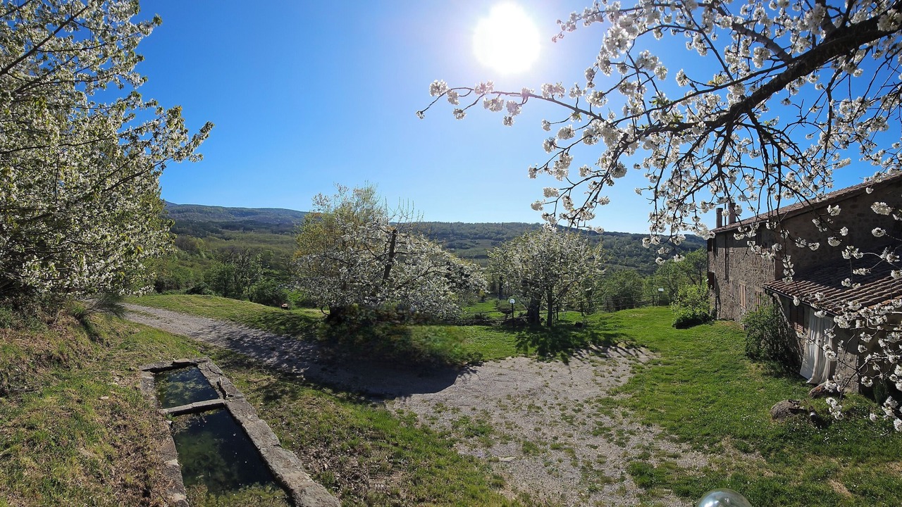 Photo of Livingroom in Vivo dʼOrcia