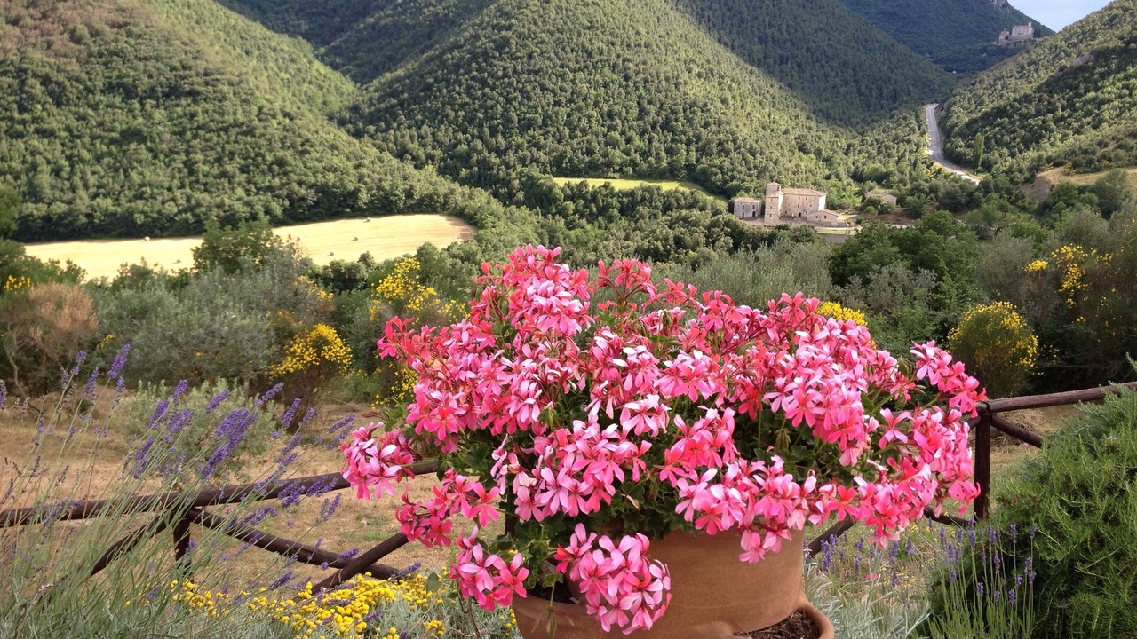 Photo of Outdoor in Umbertide