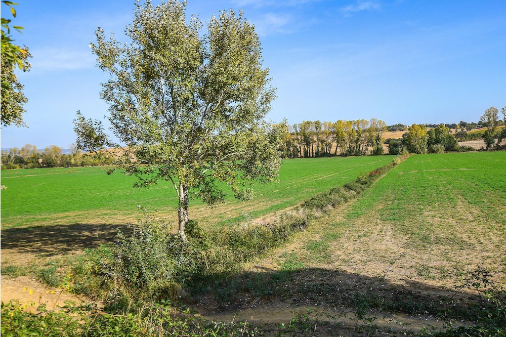 Photo of Others in Grosseto